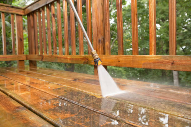 Best Soft Washing for Delicate Surfaces in Muhlenberg Rk, PA